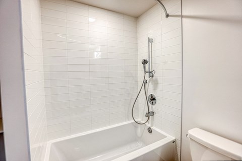 a bathroom with a shower and a tub and a toilet