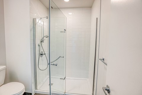 a bathroom with a shower and a toilet
