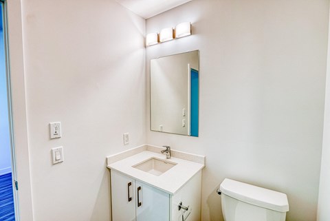 a bathroom with a sink and a mirror and a toilet