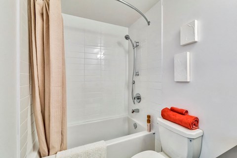 a bathroom with a shower and a toilet