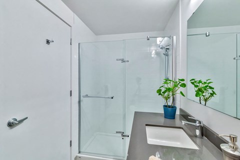 a bathroom with a shower and a sink and a plant