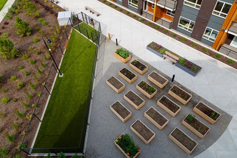 A green lawn and a series of planters are visible in the image.