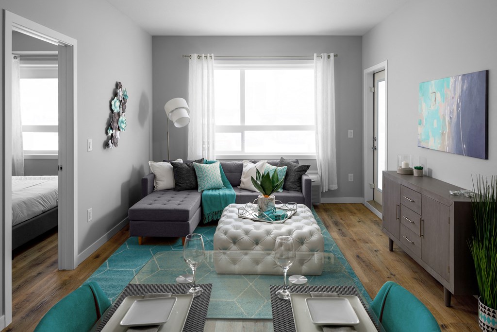 a living room with gray walls and a teal rug