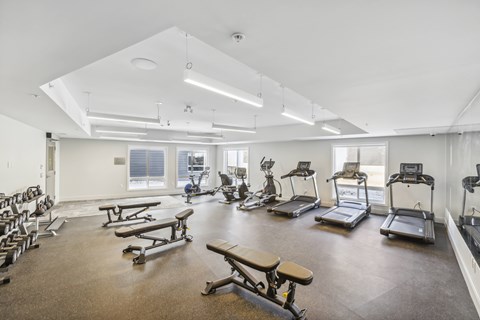 A spacious gym with a variety of equipment including treadmills, weights, and benches.