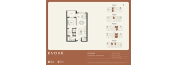 A floor plan for an apartment named EVOKE, Plan B1, with 1 bedroom and 1 bathroom.