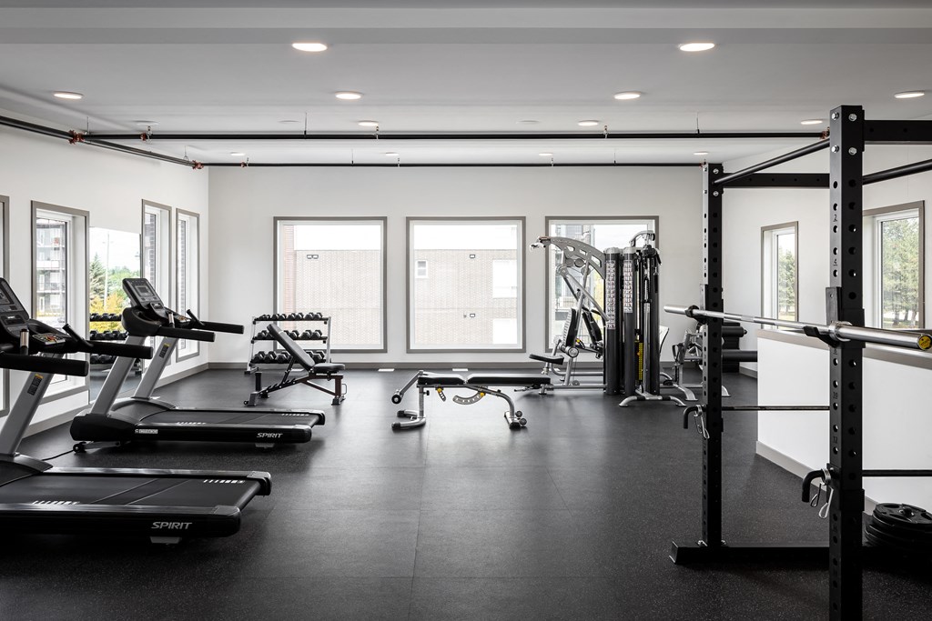 a large fitness room with treadmills and other exercise equipment