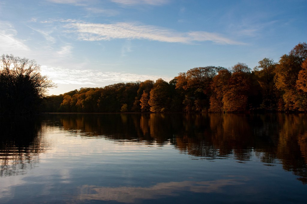 A serene lake surrounded by trees with their reflections visible on the water's surface.