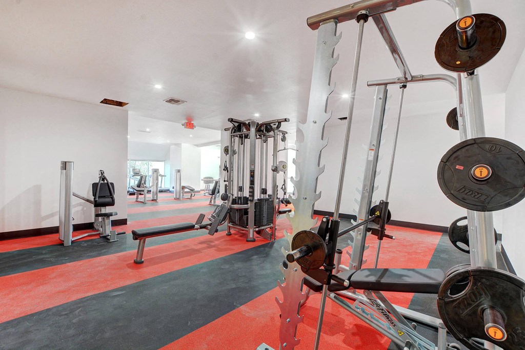 a gym with weights and other equipment on a red rug at Evoq Apartment Homes, Las Vegas, NV  