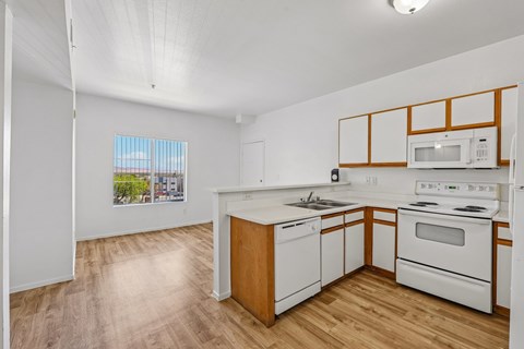 701 N. 13Th Street 1-3 Beds Apartment for Rent