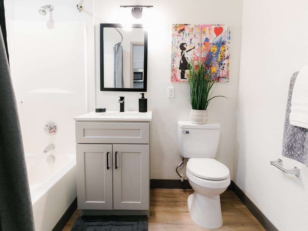 a bathroom with a toilet and a sink and a mirror