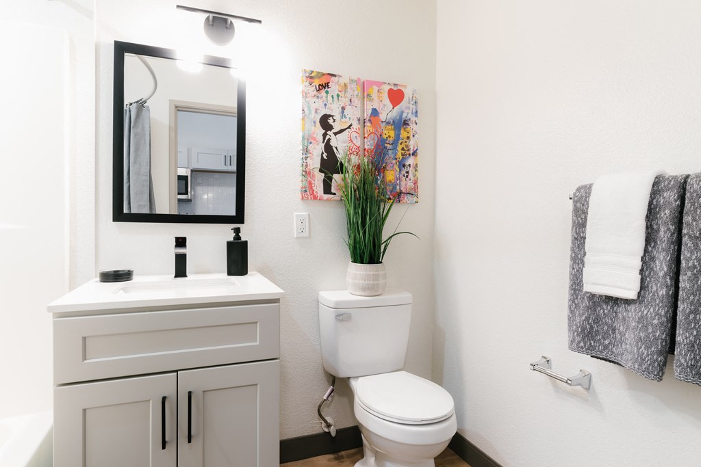 a bathroom with a toilet and a sink and a mirror
