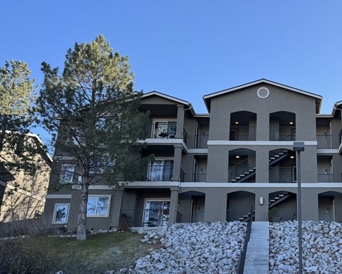 A large apartment building with a tree in front of it.