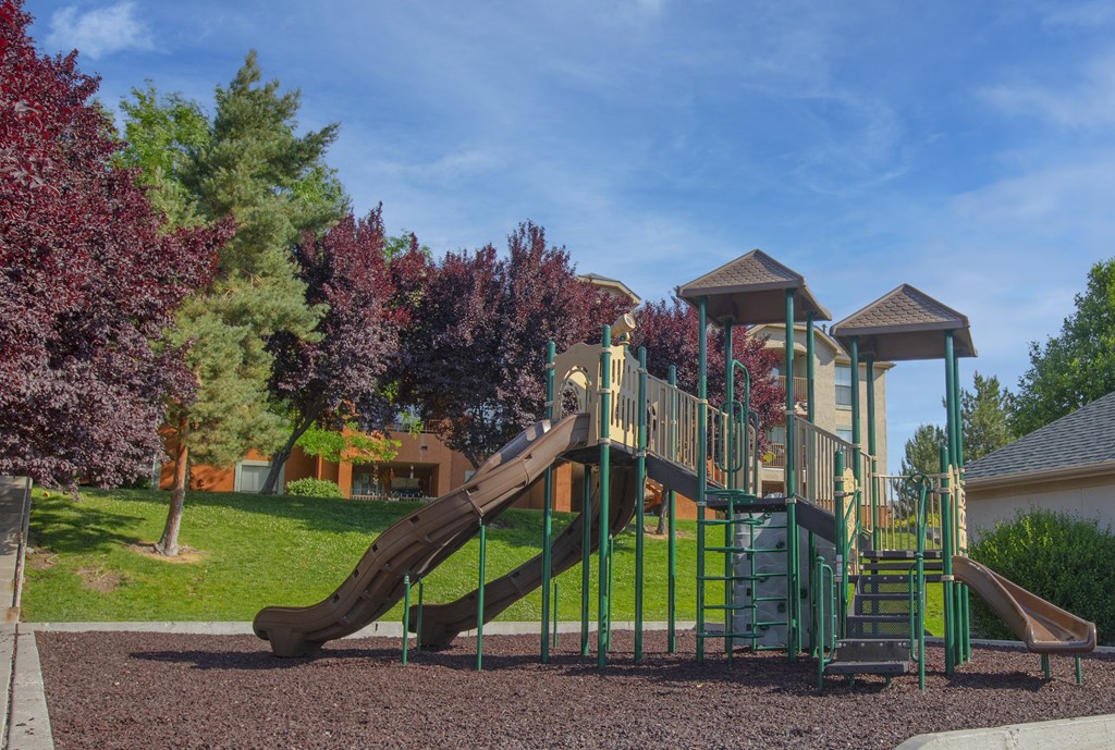 a playground with a slide in a park