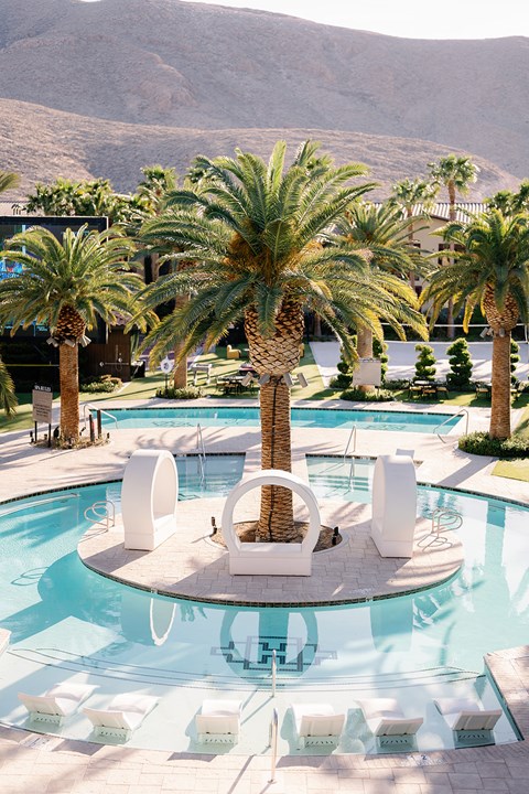 A pool surrounded by palm trees and white chairs.