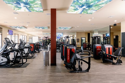 A gym with a variety of equipment including treadmills, stationary bikes, and weight machines.
