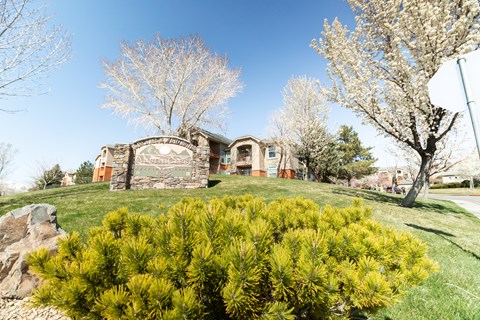 A house with a green lawn and a bush in front.