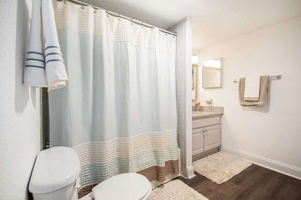 A bathroom with a toilet, sink, and shower curtain.