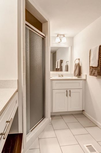 a bathroom with a shower and a sink and a mirror