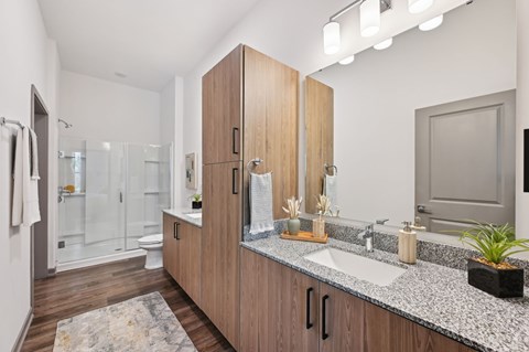 A bathroom with a sink, mirror, and a plant at The Hadley - North Port, FL Apartments, North Port, FL, 34287