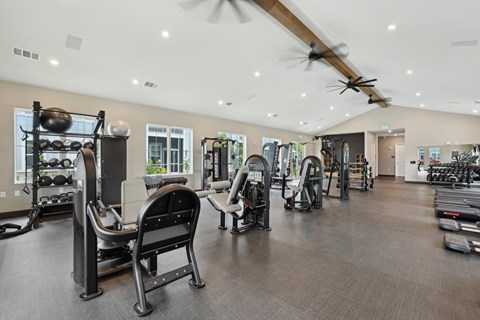 A gym with a variety of equipment including treadmills, weights, and exercise machines. at The Junction at Rockledge Apartments, Florida