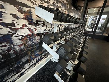 a row of dumbbells in a gym with a painting on the wall at Watermark at Steele Crossing, Fayetteville, Arkansas