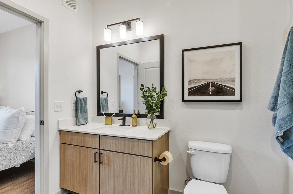 a bathroom with a white toilet and a wooden vanity with a mirror above it at Apex, Colorado Springs, Colorado