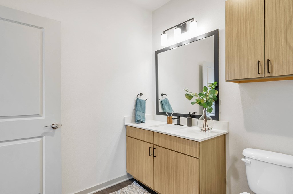 a bathroom with a white toilet next to a wooden cabinet with a mirror above it at Apex, Colorado Springs, CO, 80923