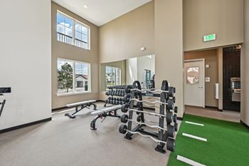 A gym with a green carpet and a mirror on the wall. at The Hadley - North Port, FL Apartments, North Port