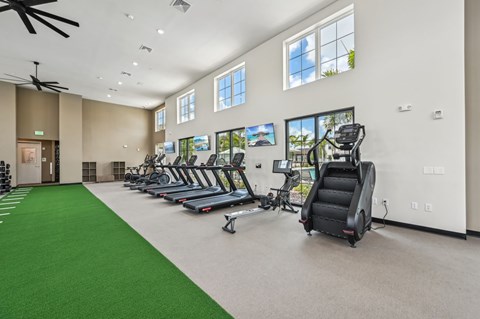 A gym with treadmills, exercise bikes, and a green carpet.