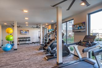 the gym with treadmills and exercise balls at the flats at 3600 apartments