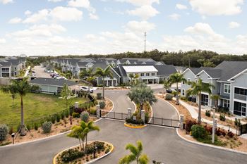 an aerial view of a street of houses with palm trees at Palm Grove, Ellenton
