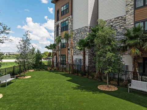 A large grassy area in front of a building with a bench and a tree.