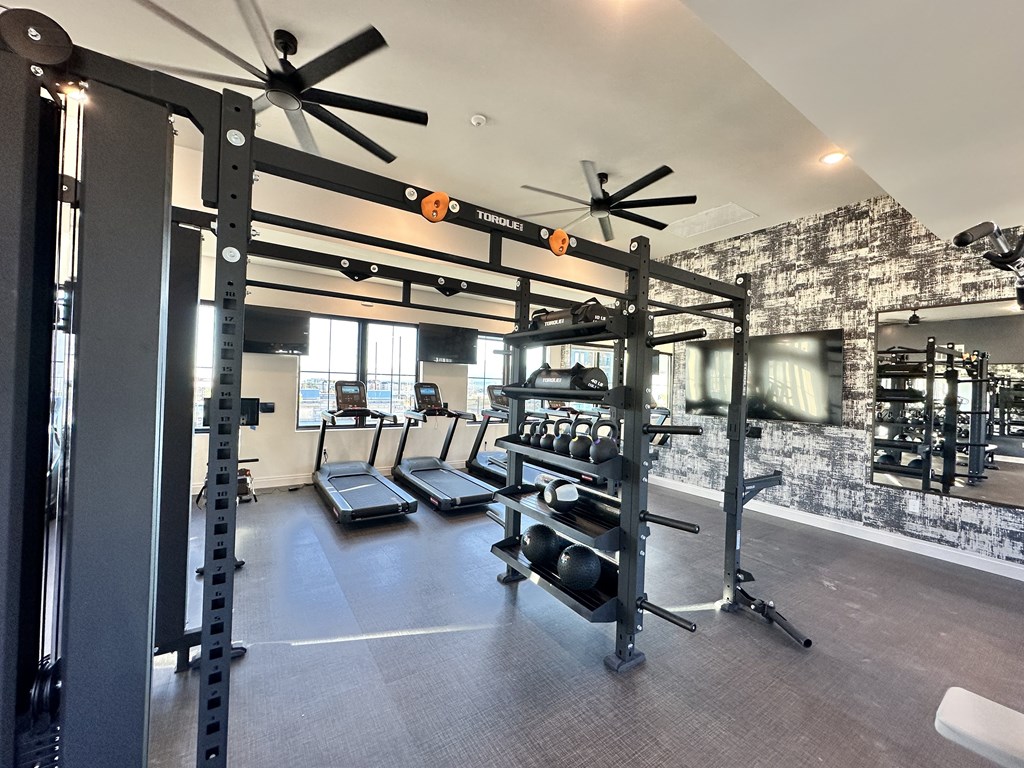 A gym with a variety of equipment including a squat rack, bench, and weights.