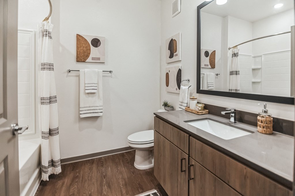 a bathroom with a sink and a toilet and a mirror  at Palm Grove, Florida