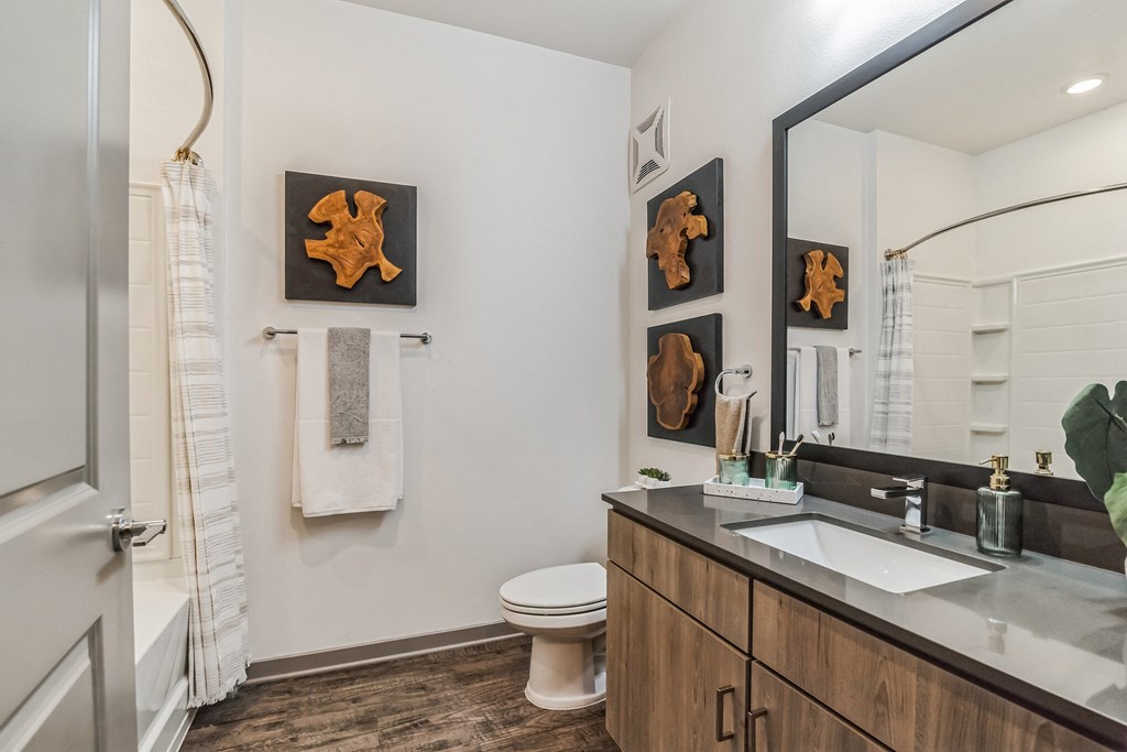 Bathroom With Adequate Storage at Canter, Ocala, FL
