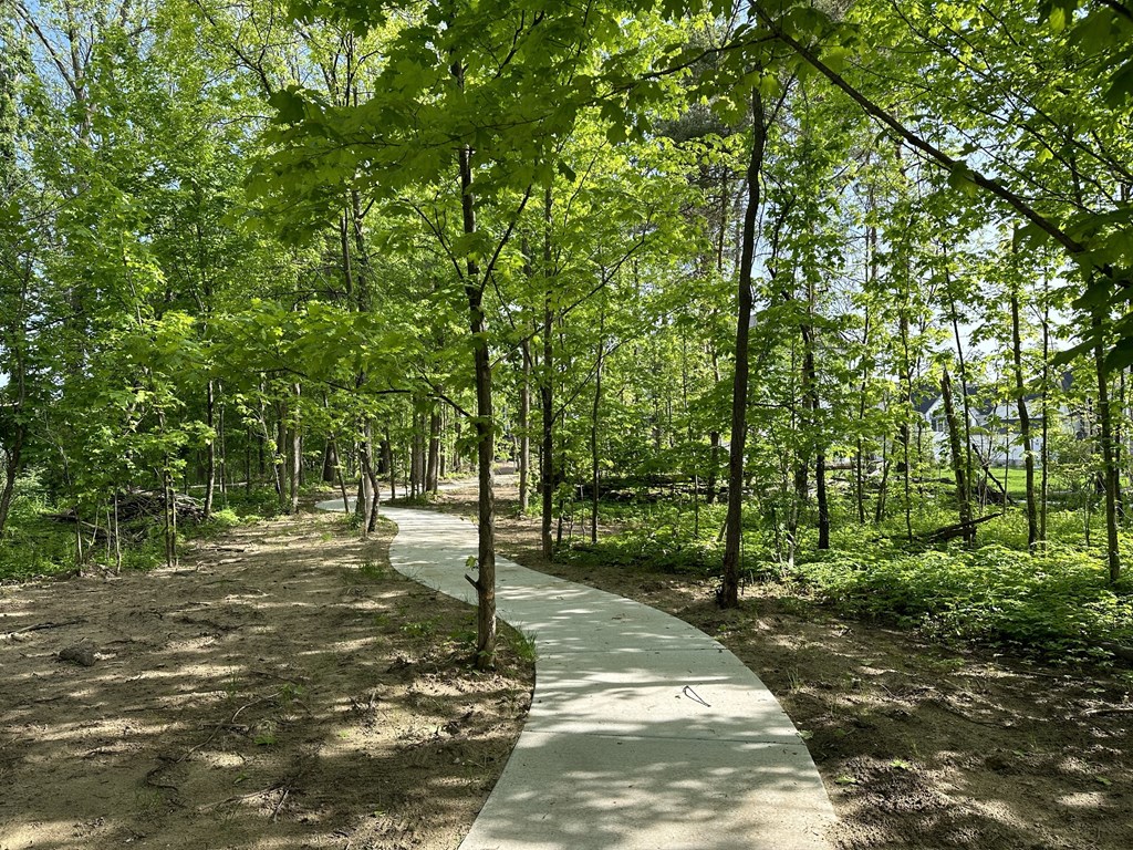 a path in the middle of a forest with trees at The BLVD at Wilson Crossings, Michigan