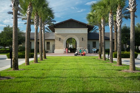 A building with the name Nocatee on it is surrounded by palm trees at Velara Luxury Apartments, Florida, 32081