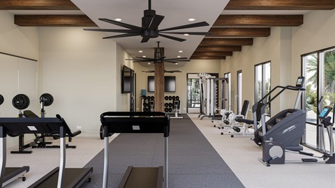 A gym with a variety of equipment including treadmills, weights, and a rowing machine.