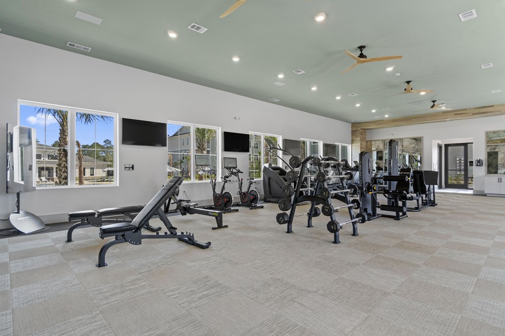 A spacious gym with a variety of equipment and a view of palm trees outside the windows.