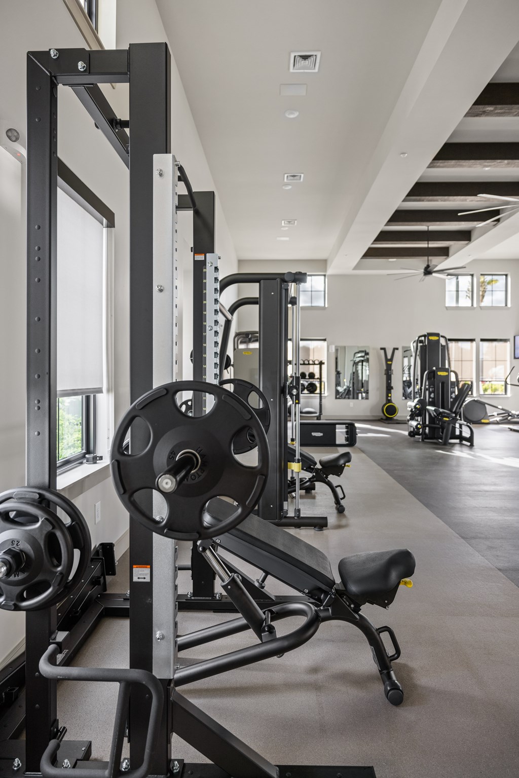 A gym with a weight bench and weights.