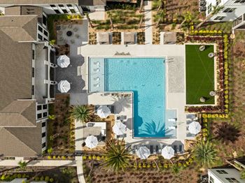 An aerial view of a pool surrounded by palm trees and lounge chairs.