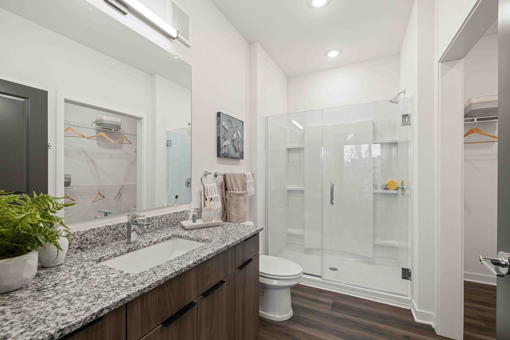 A bathroom with a white toilet, a sink, and a walk-in shower.