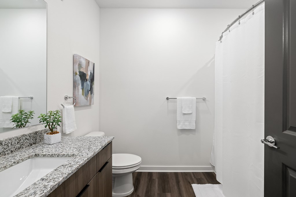 A bathroom with a toilet, sink, and a plant on the counter.