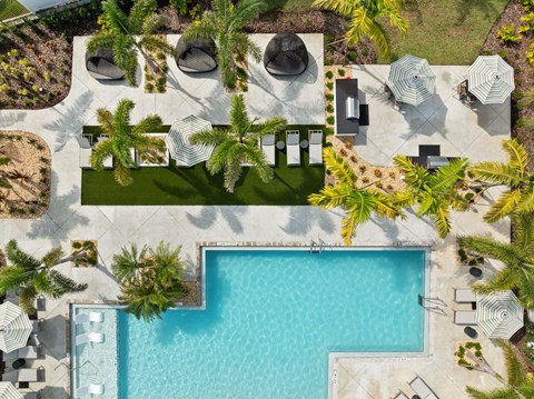 An aerial view of a pool surrounded by palm trees and lounge chairs.
