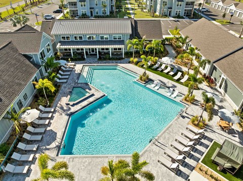 A large swimming pool surrounded by lounge chairs and palm trees.