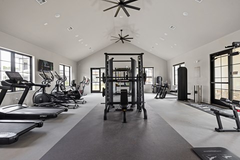 Fitness Center at The Levi Luxury Apartments, McDonough, 30253
