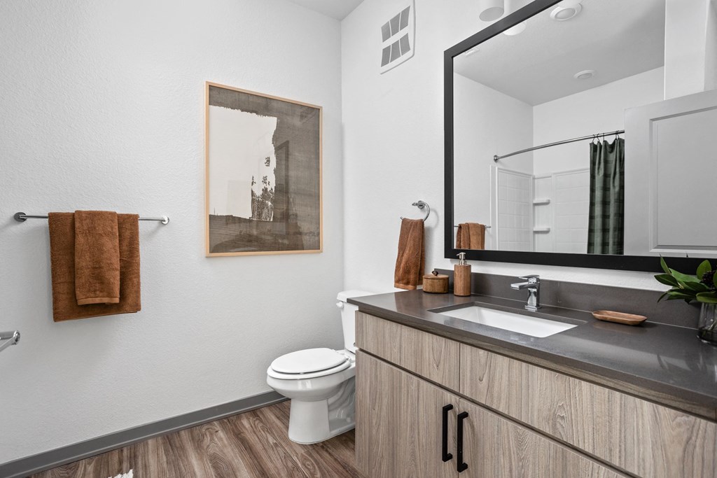 A bathroom with a toilet, sink, mirror, and a picture hanging on the wall. at The Maddox Luxury Apartments, Buckeye, AZ, 85326