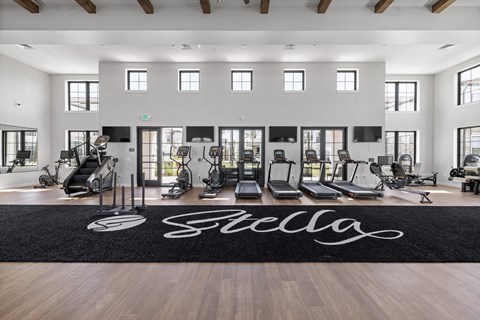 A gym with a black mat on the floor that says "Stella".