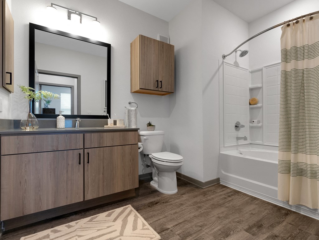 Luxurious Bathroom at Drift, Florida