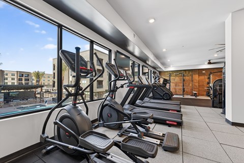 A row of elliptical machines are lined up in a gym.